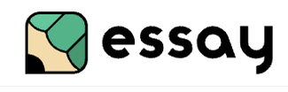 Essay